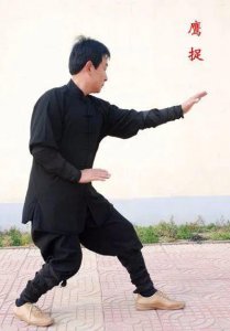 ​形意拳五行拳介绍（了解形意拳历史渊源）