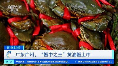 ​一只螃蟹 2000 元！凭啥这么贵？
