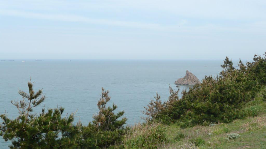 福山区是哪个城市(山东福山区属于哪个市)