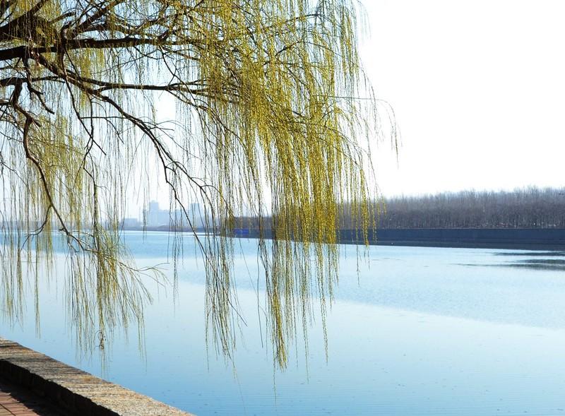 福山区是哪个城市(山东福山区属于哪个市)