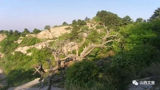 忻府区是哪个城市(忻府区有多少人口)