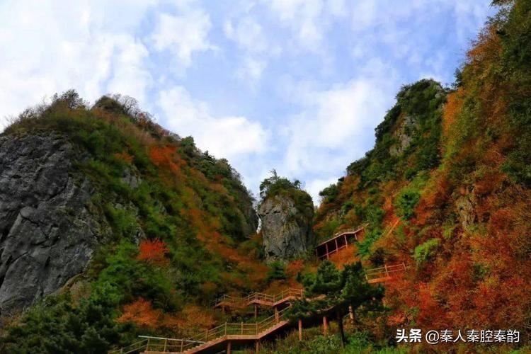 山阳县属于哪个市(陕西省山阳县属于哪个市)
