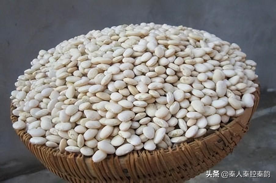山阳县属于哪个市(陕西省山阳县属于哪个市)