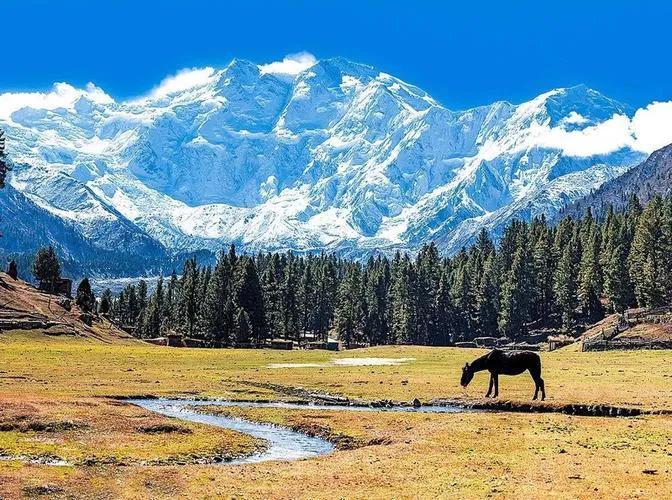世界海拔最高的山脉(海拔最高的十大山脉)