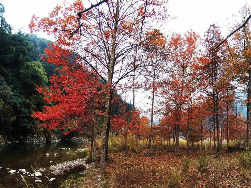 邵阳有什么好玩的地方景点(湖南邵阳有哪些旅游景点)