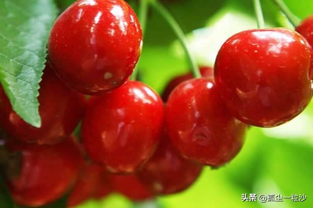 绛县属于哪个市(山西绛县属于哪个市)