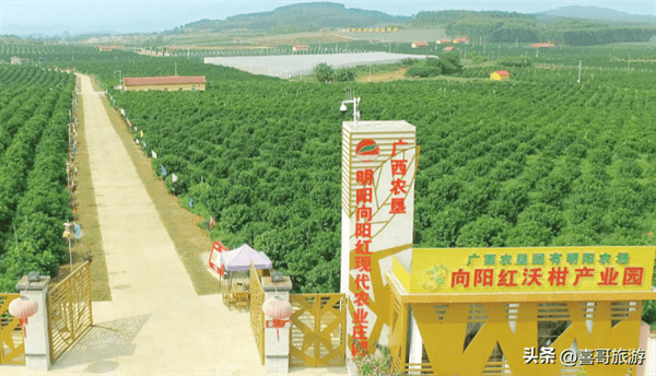 江南区是属于哪个市(江南区有多少个乡镇)
