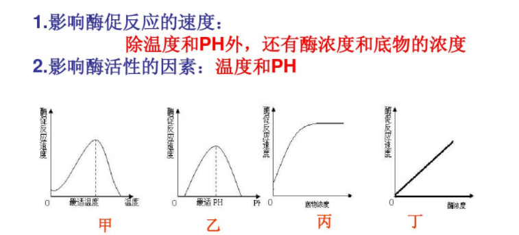 西红柿和什么不能一起吃(西红柿和黄瓜可以一起吃吗)