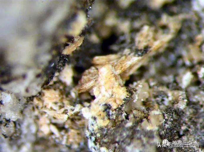 独居石是什么矿(独居石的用途)