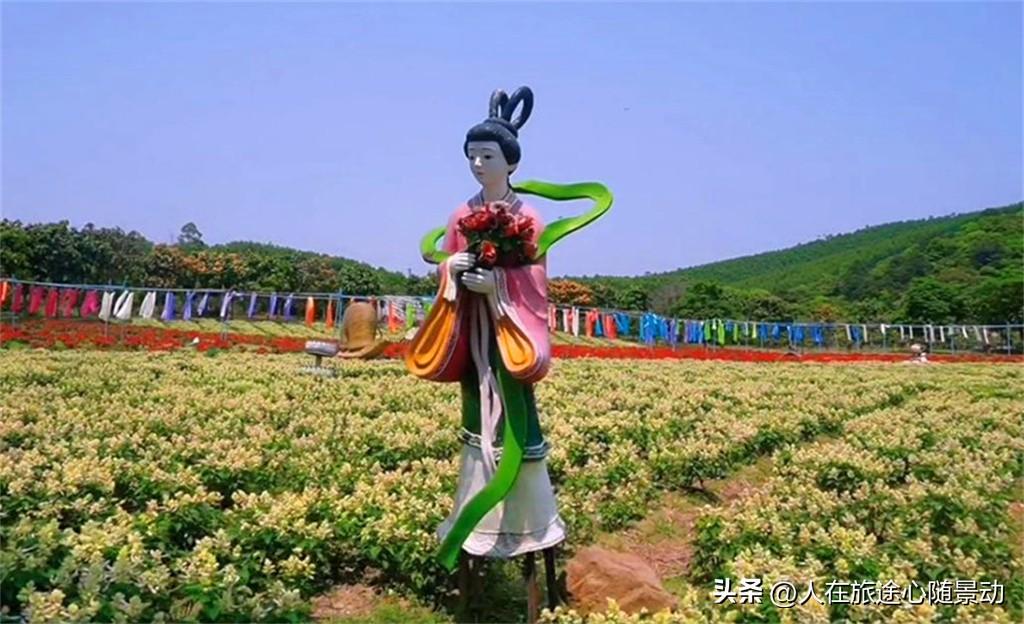 南宁青秀区旅游景点(青秀区有什么好玩的地方景点)