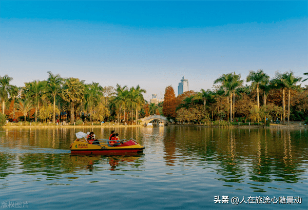 南宁青秀区旅游景点(青秀区有什么好玩的地方景点)