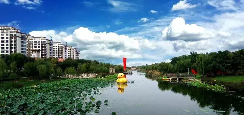 衡水个区县地名来历(衡水各区县名称从哪儿来的)