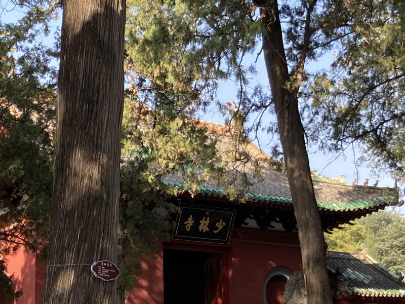 伏牛山在哪个省哪个市(伏牛山属于什么山脉)