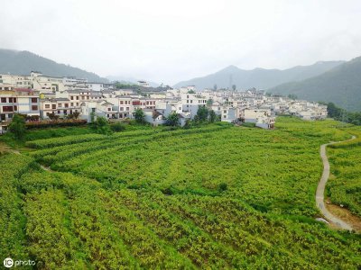 ​望谟县属于贵州哪个市(望谟县属于哪个市)