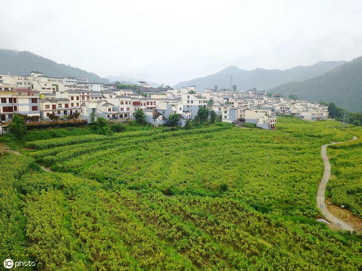 望谟县属于贵州哪个市(望谟县属于哪个市)