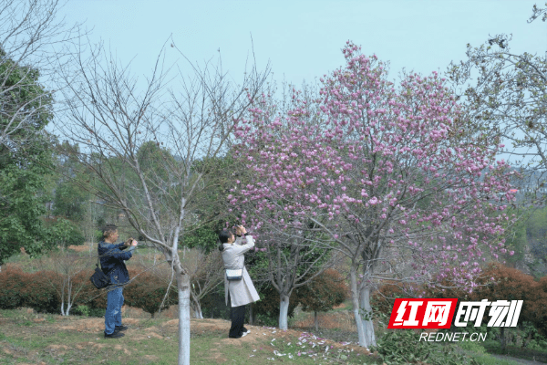 北塔区属于哪个市(邵阳北塔区有哪些街道)