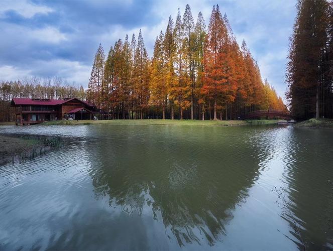 1.东台国家森林公园