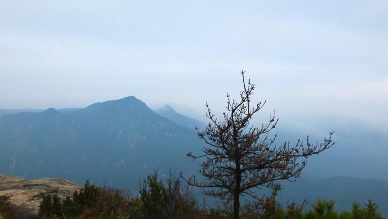 4、东南白顶峰海拔1018米。