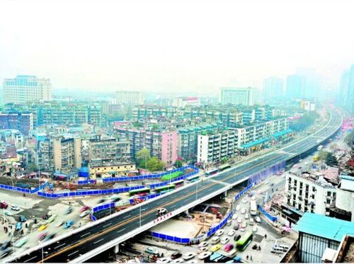 3、三阳路森林公园