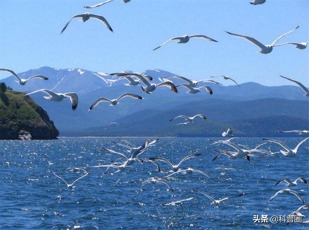 贝加尔湖是什么时候割让出去的(贝加尔湖是什么之最)
