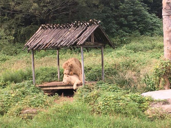 1、动物园区