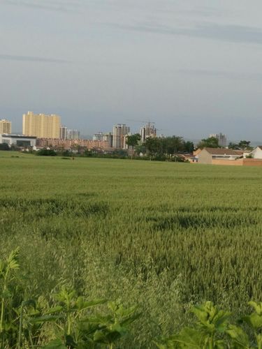 三、岐山县