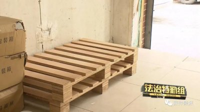 ​上海一快递小哥欲哭无泪，万元包裹被流浪狗“精准”叼走