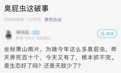 ​杭州多户人家被它入侵！抓不完，根本抓不完……