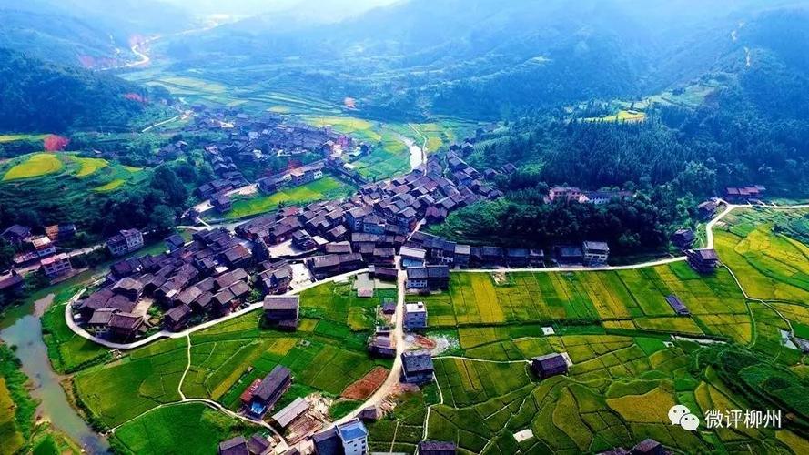 三、融水苗族自治县的龙塘和鹿寨