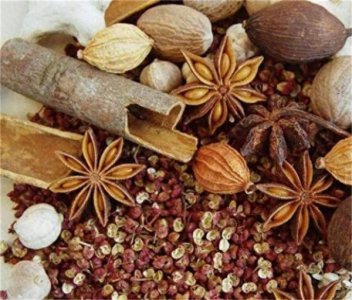 ​香辛料是指哪些东西(食品里的香辛料是什么)