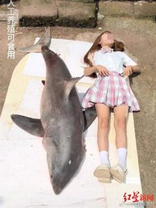 ​冲上热搜！网红否认用大白鲨做美食，到底吃的是哪种鲨鱼？是保护动物吗？