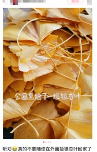 ​很多人在捡！紧急提醒：有毒，停手