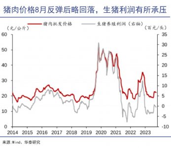 ​刘永好不认输