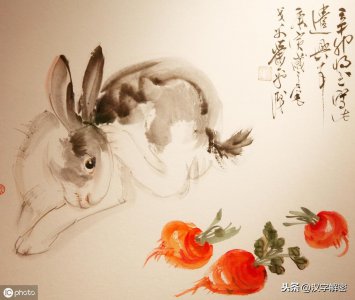 ​关于”兔“字的成语你只知道”守株待兔“？快来看看这些，带孩子不愁