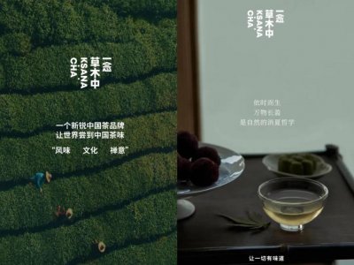 ​一念草木中创始人夏正：茶不是一个「任人打扮的小姑娘」