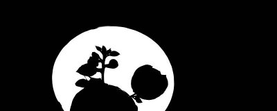 ​黑玫瑰花语是什么意思 寓意 黑玫瑰代表什么意思花语是什么