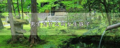 ​男生叫女生铁子代表什么 男的叫女的铁子是什么意思