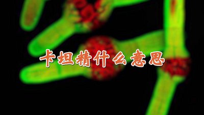 ​卡卡坦精什么意思 小卡坦精什么意思