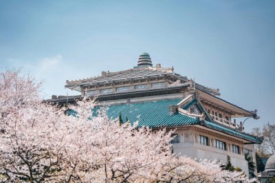 ​武大学生，真的怕了樱花季
