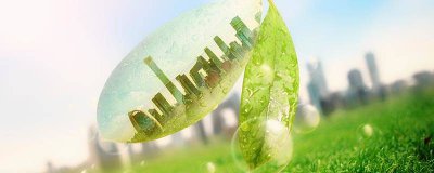​金钱树冬天会死吗 金钱树冬天会枯萎吗为什么