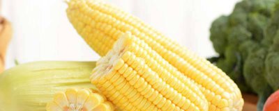 ​一个玉米的热量是多少千焦 一个玉米的热量是多少卡路里