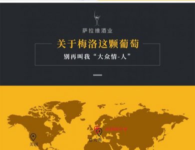 ​红酒 黄标 黄牌什么意思？红酒 黄标 黄牌是什么