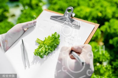 ​系统了解世界科技前沿的全貌，快收藏这份菜单与纲要