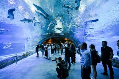 ​五一将至，广东主题乐园、智慧旅游创新迎客