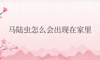 ​马陆虫怎么会出现在家里（家里有马陆虫怎么找源头）
