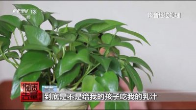 ​女子丰胸检出骆驼等动物源性成分