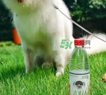 网易云音乐农夫山泉乐瓶怎么玩？云音乐农夫山泉玩法