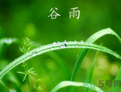 ​谷雨是什么意思?谷雨节气有什么含义?