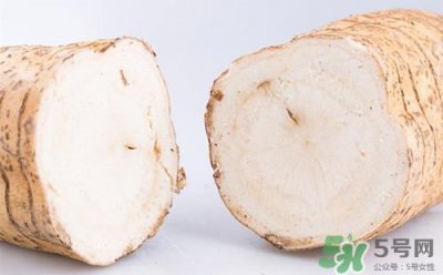 ​粉葛是什么东西?粉葛的功效与作用