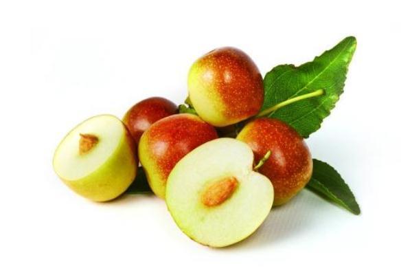 冬枣什么季节成熟 冬枣是凉性还是温性